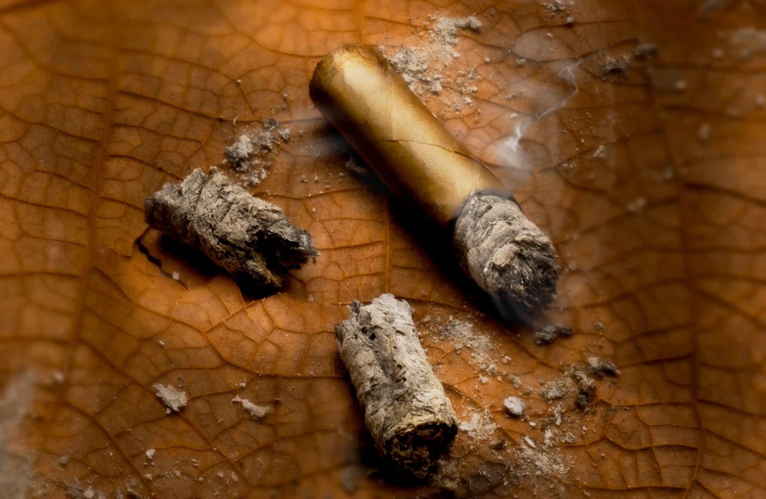 The Last Puff Of The Bull Market Cigar