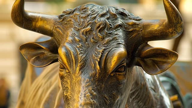 The reopening rally: Here's what you need to know