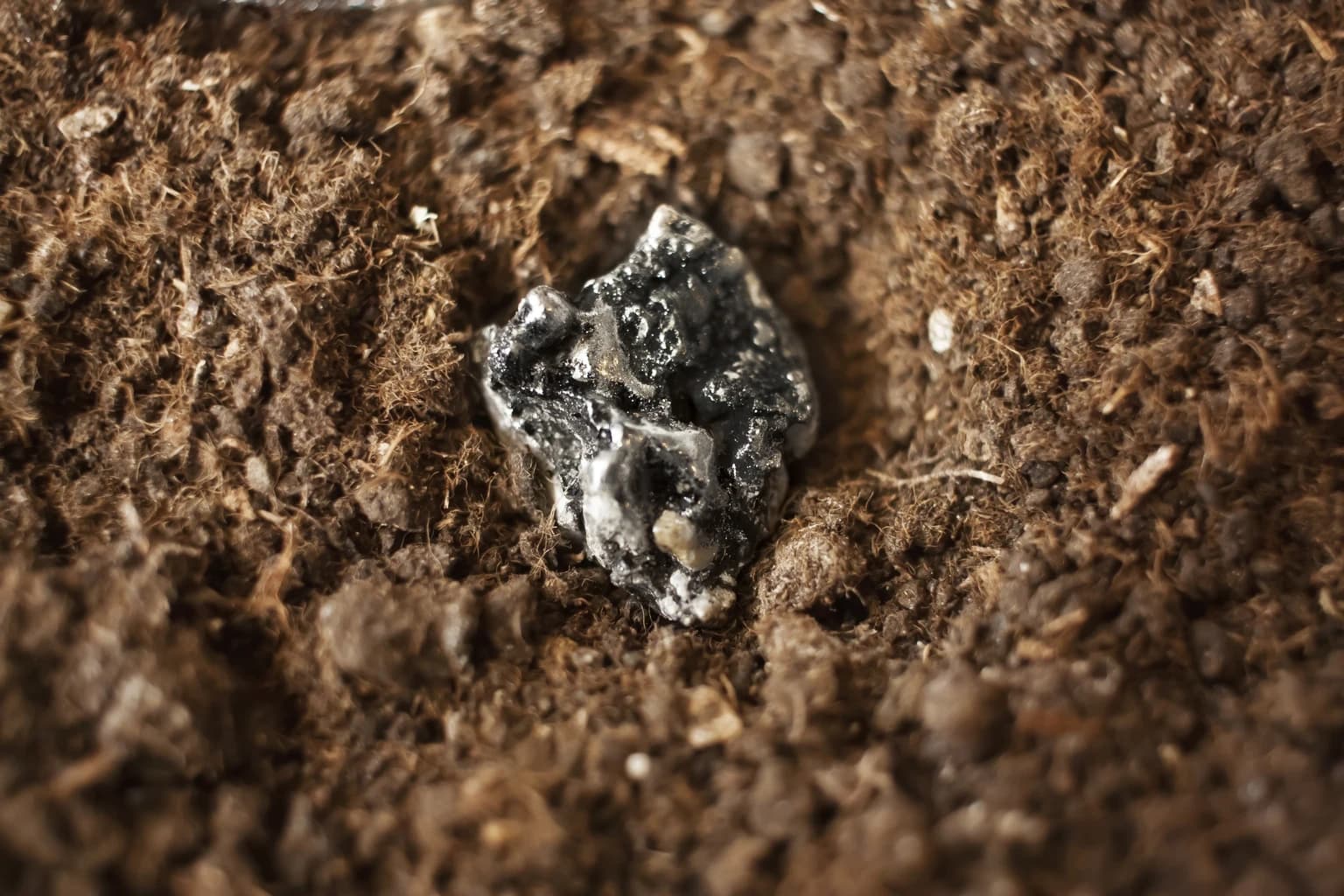 Trump Downplays China Dispute - Rare Earths May Force Quick Concessions