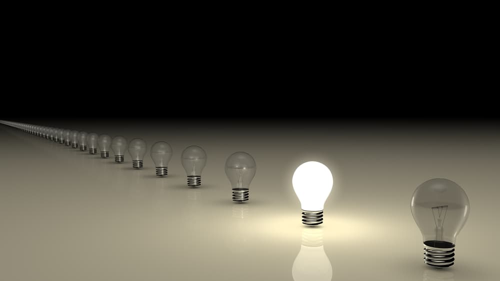 Why Economies Need People Willing to Stick Their Necks Out